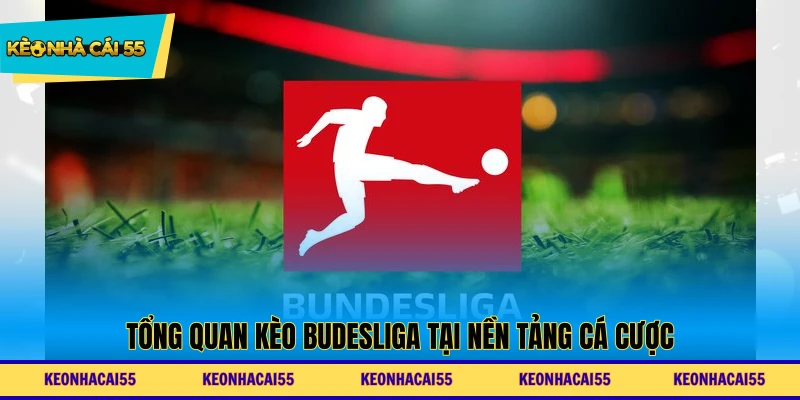 Tổng quan kèo Budesliga tại nền tảng cá cược