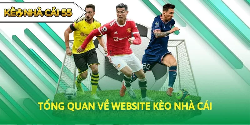 Tổng quan về website Kèo Nhà Cái